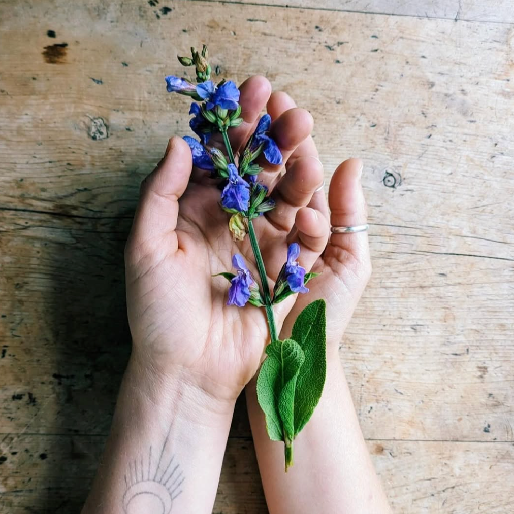 Hands holding a small bouquet of purple flowers on a wooden surface